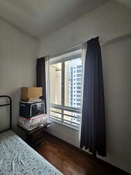 Parkshore (D15), Condominium #545728251